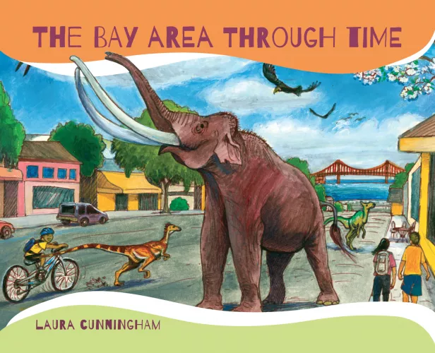 Book cover for Bay Area Through Time 